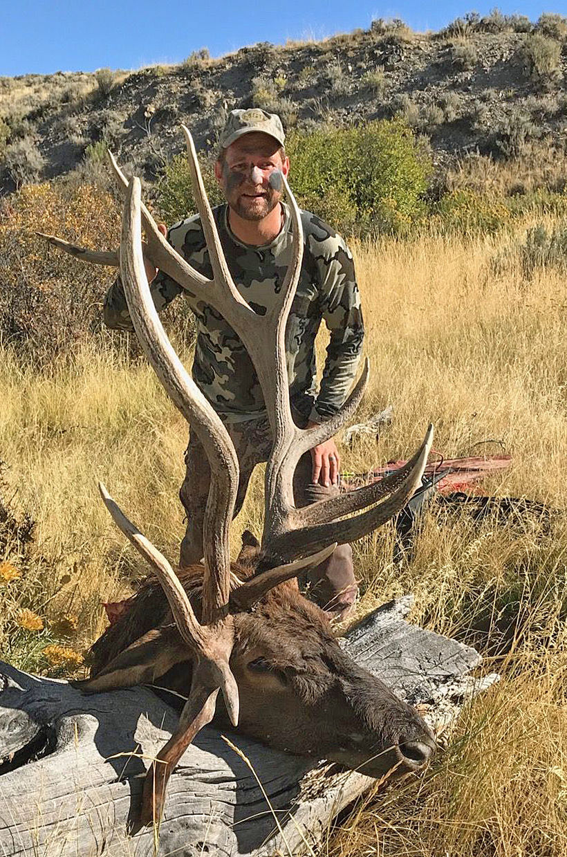 Drop-tine bull